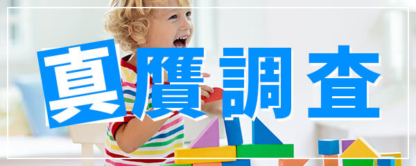 世界中で人気のブロックが取締り！証拠の領収書は〇日以内？の画像